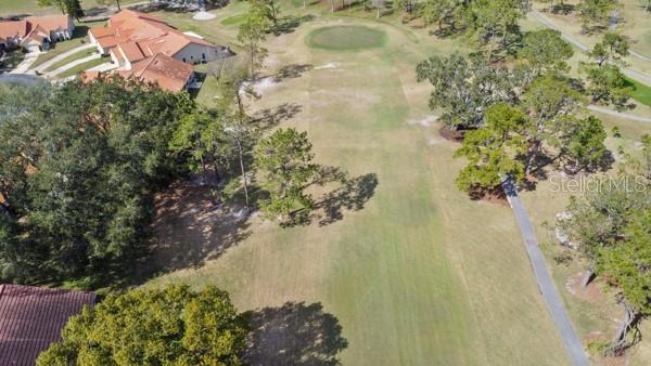 GOLF COURSE WHITE #7