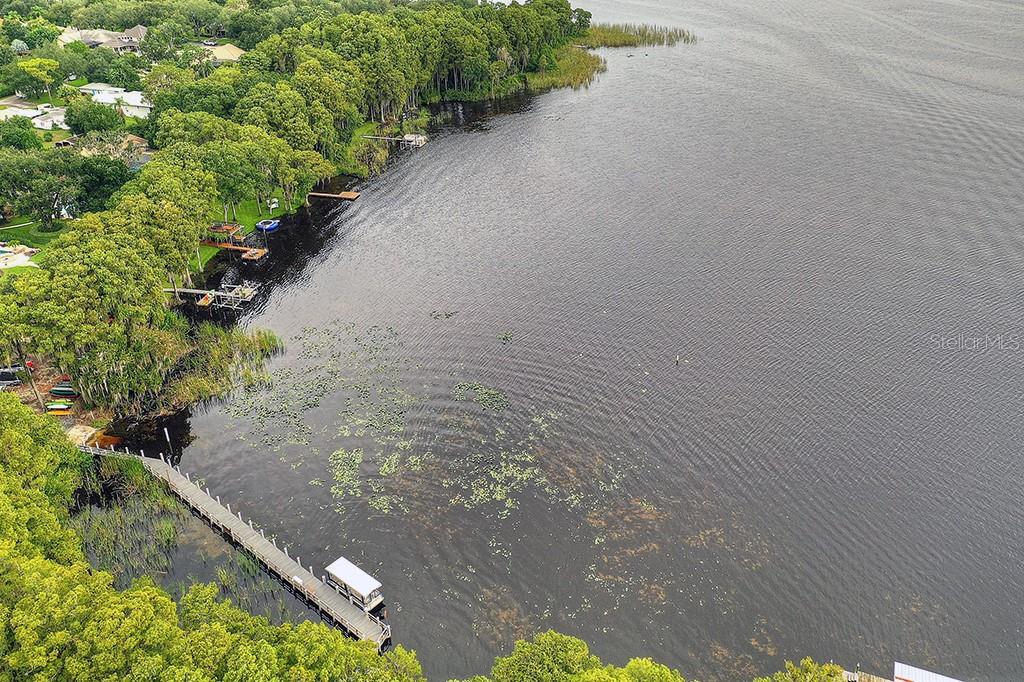 LAKE TARPON VIEW FROM BOAT STORAGE