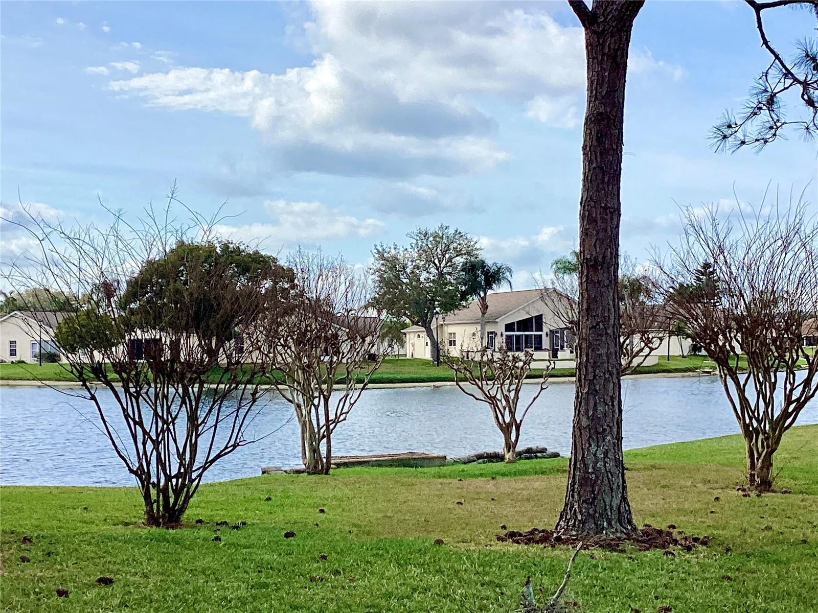 View of pond out back.