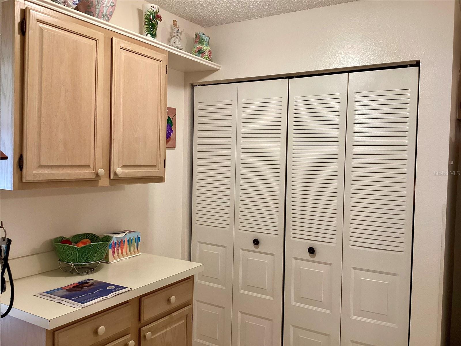 Kitchen storage with a laundry closet.