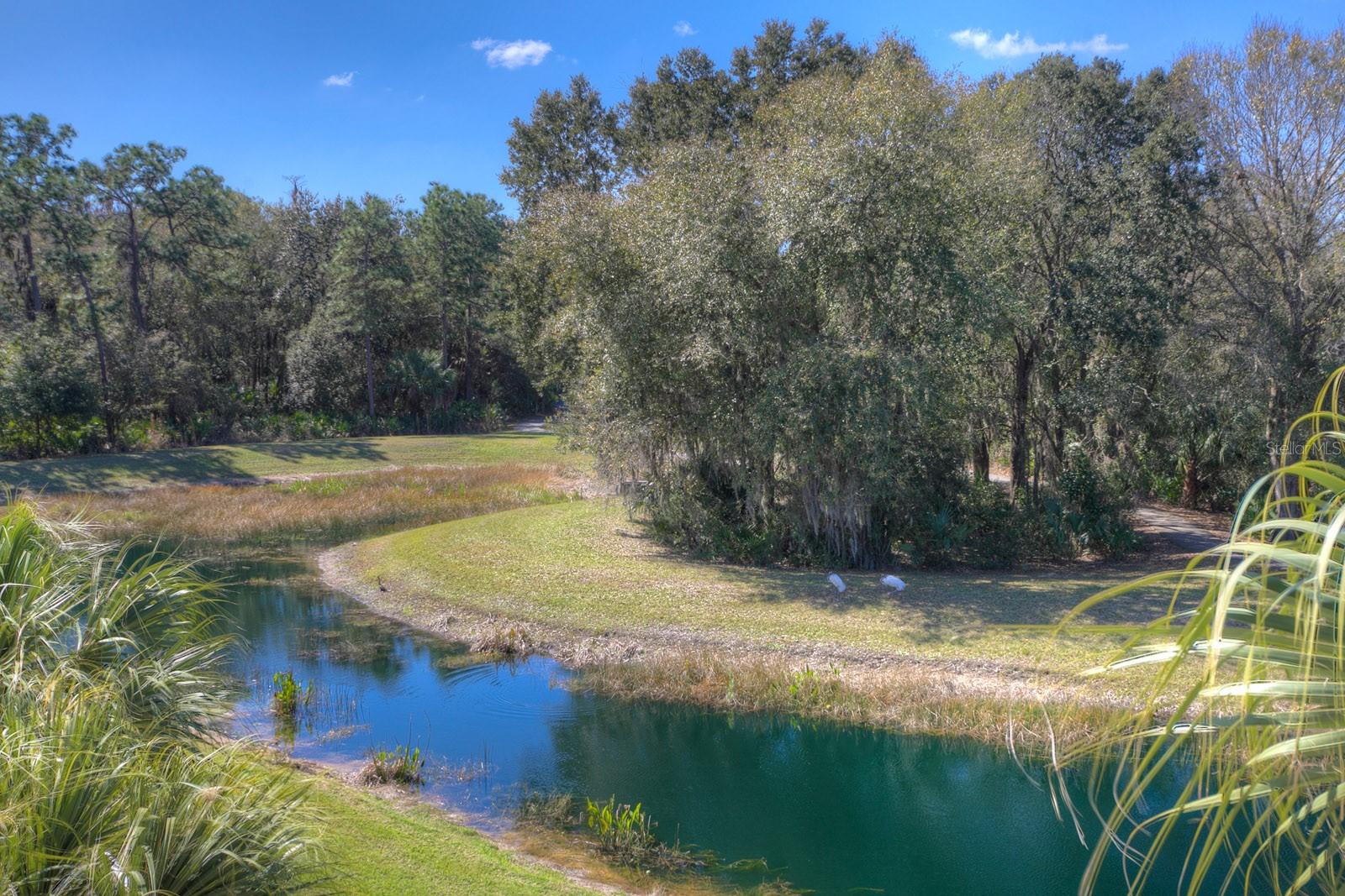 West Meadows Amenities