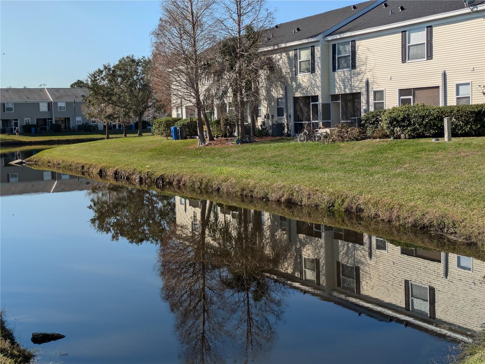 Pond view