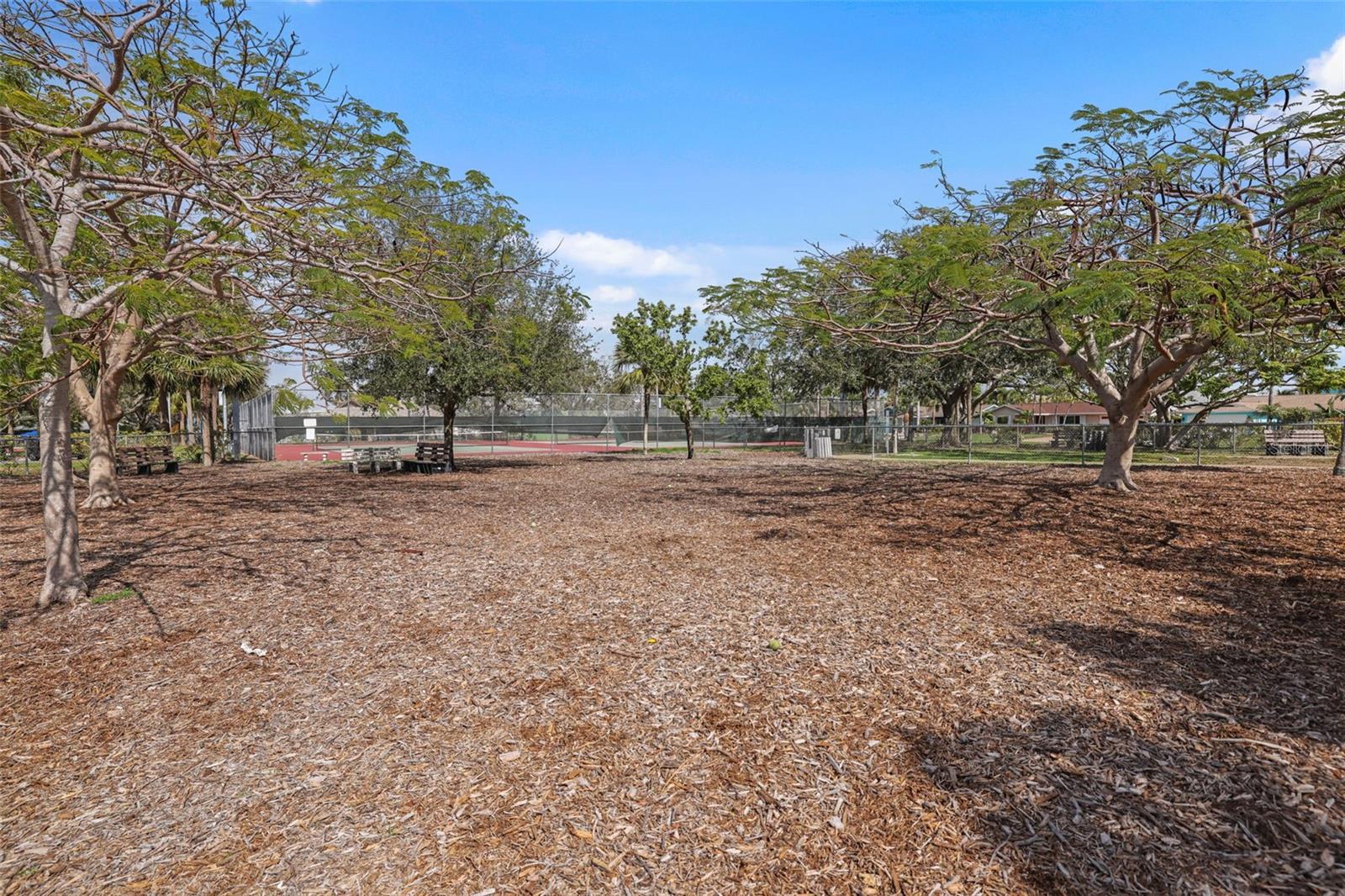 Community Dog Park