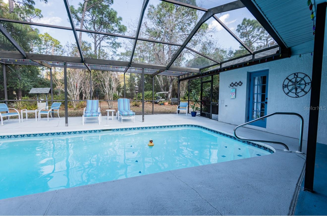 pool facing back yard