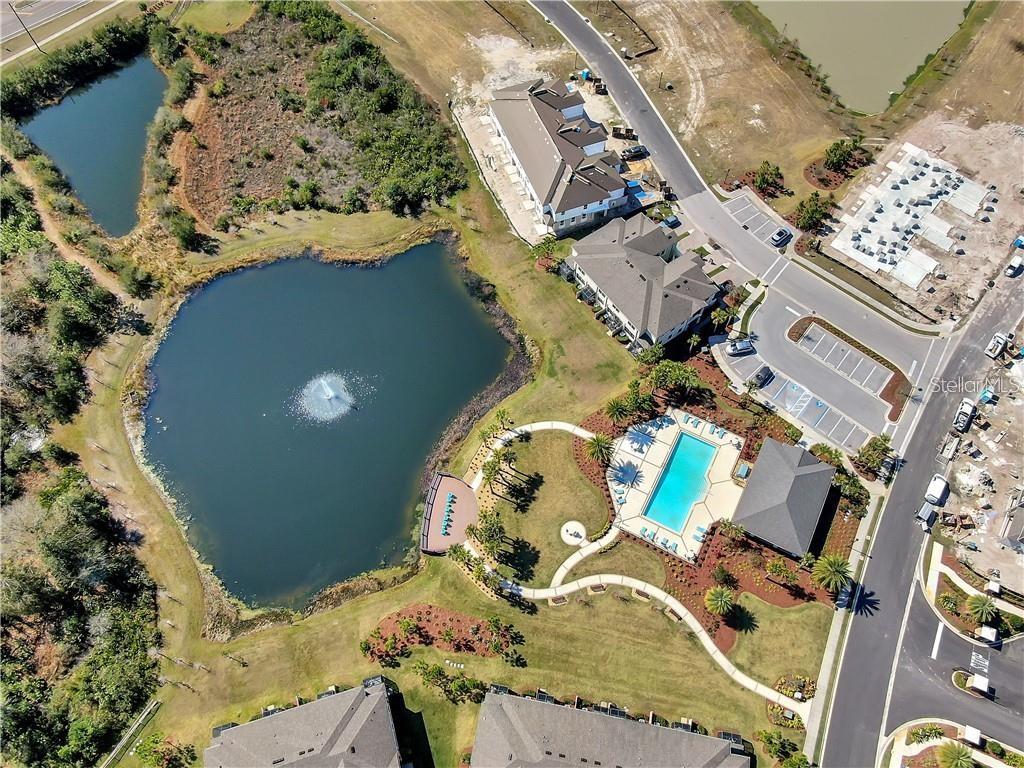 Pond and Pool Area