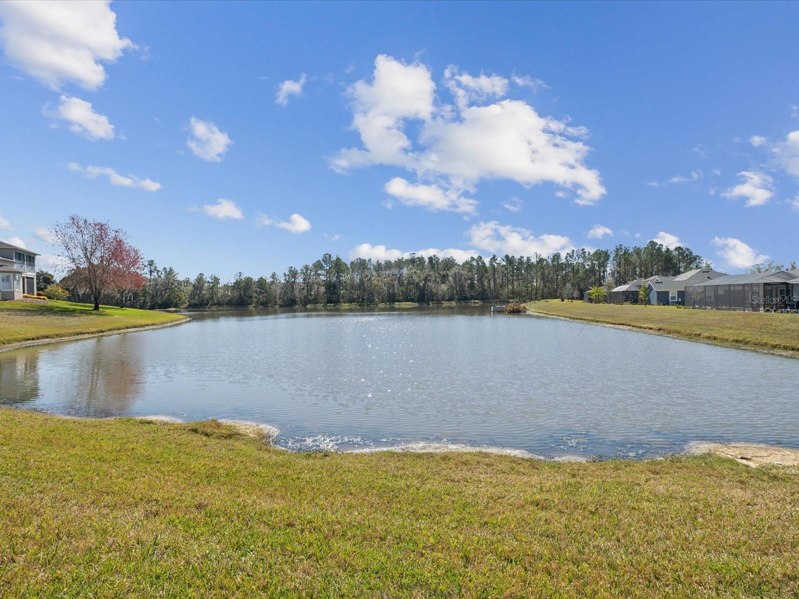 pond view