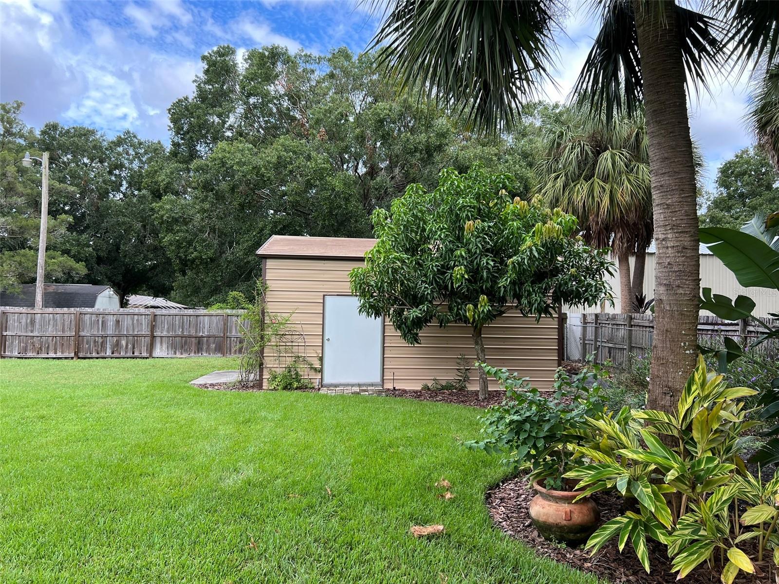 Back Yard Shed