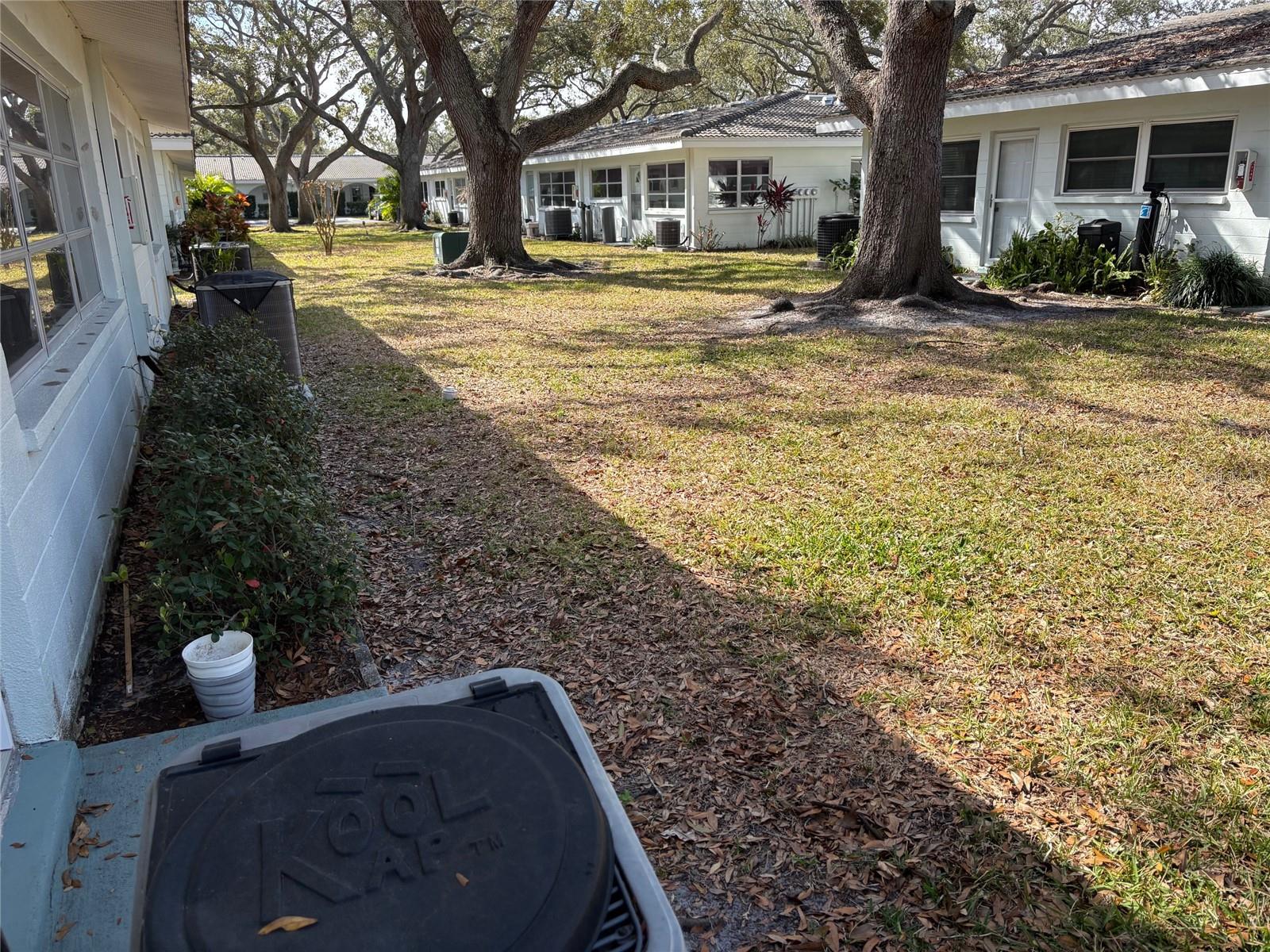 Back yard to left
