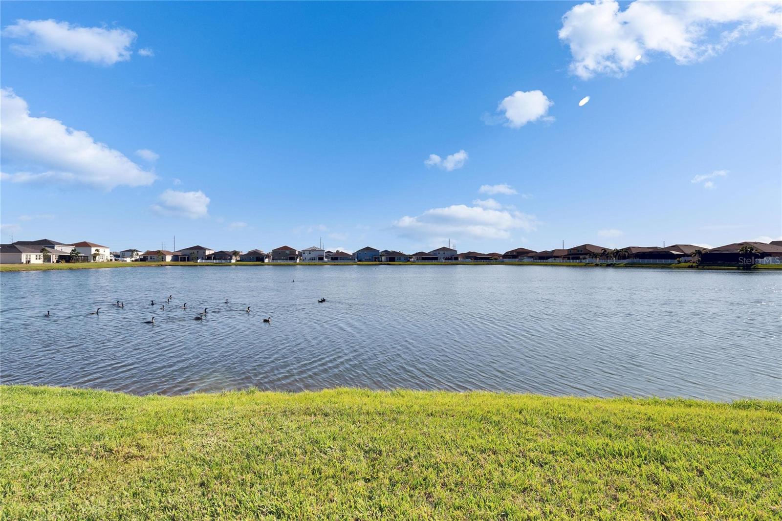 Lake View