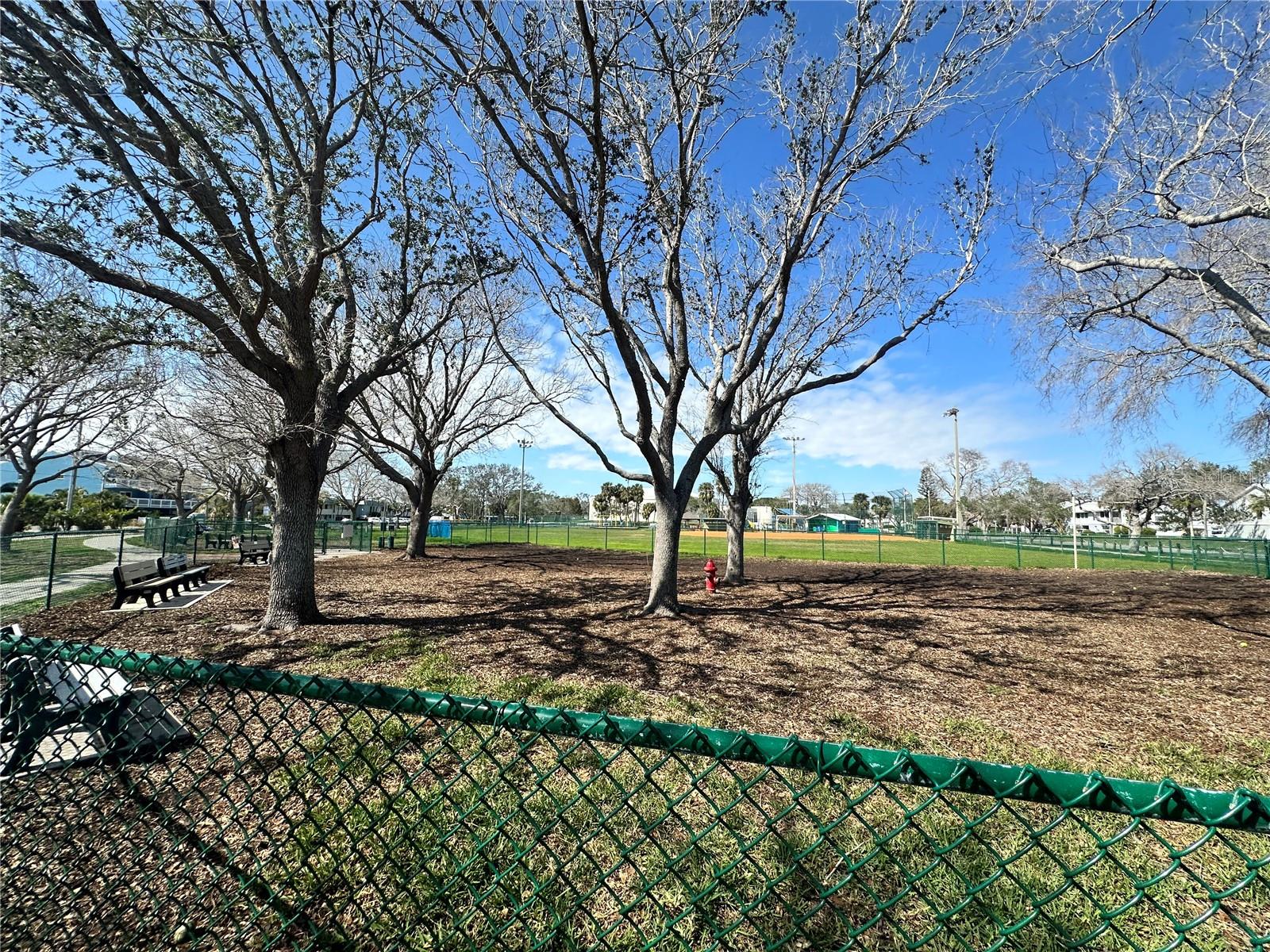 John Morroni Memorial Dog Park