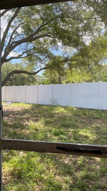 back yard