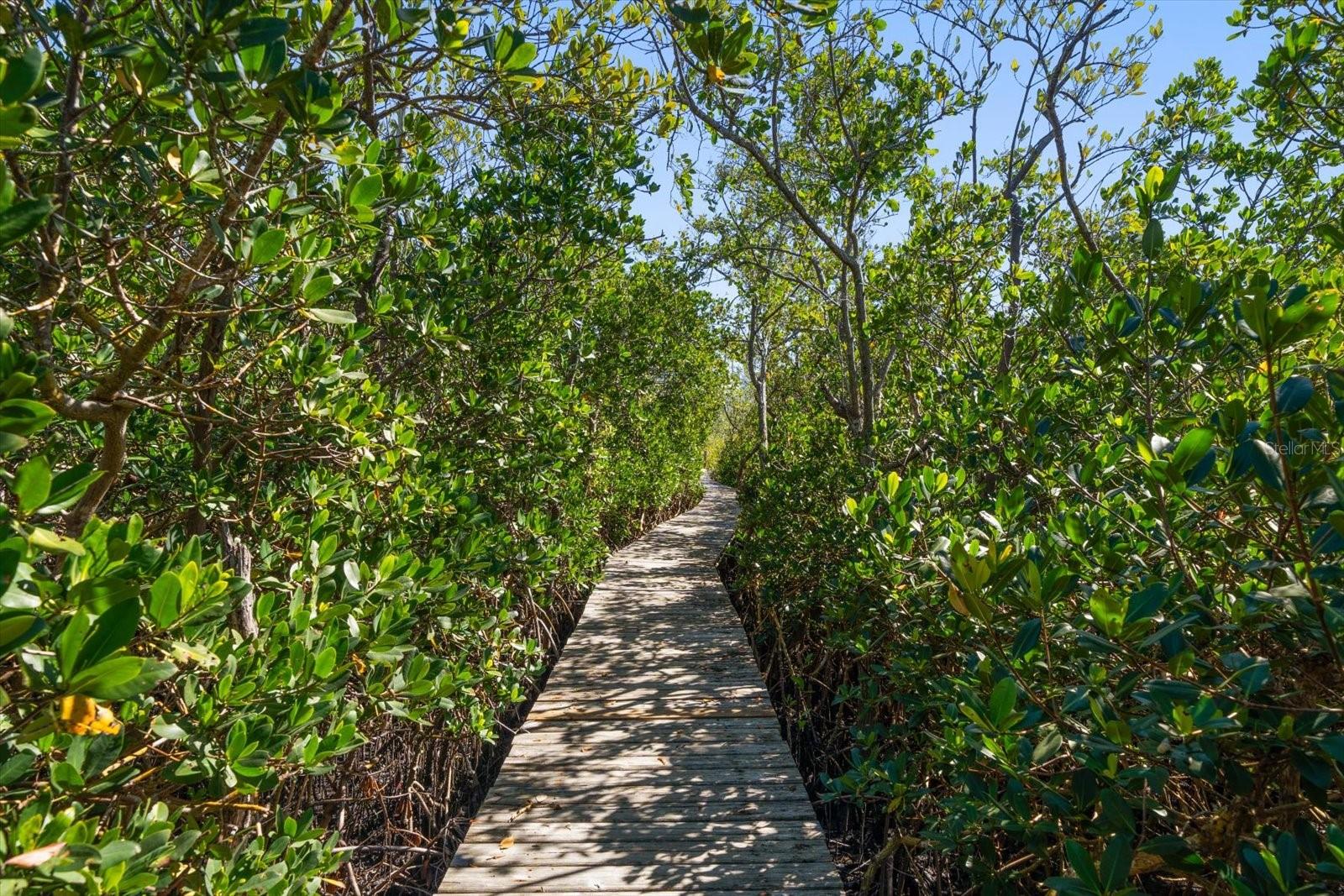 Walkway to dock.