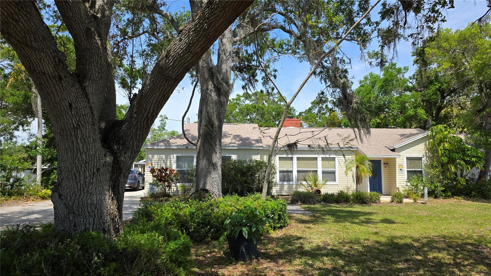 Large front yard