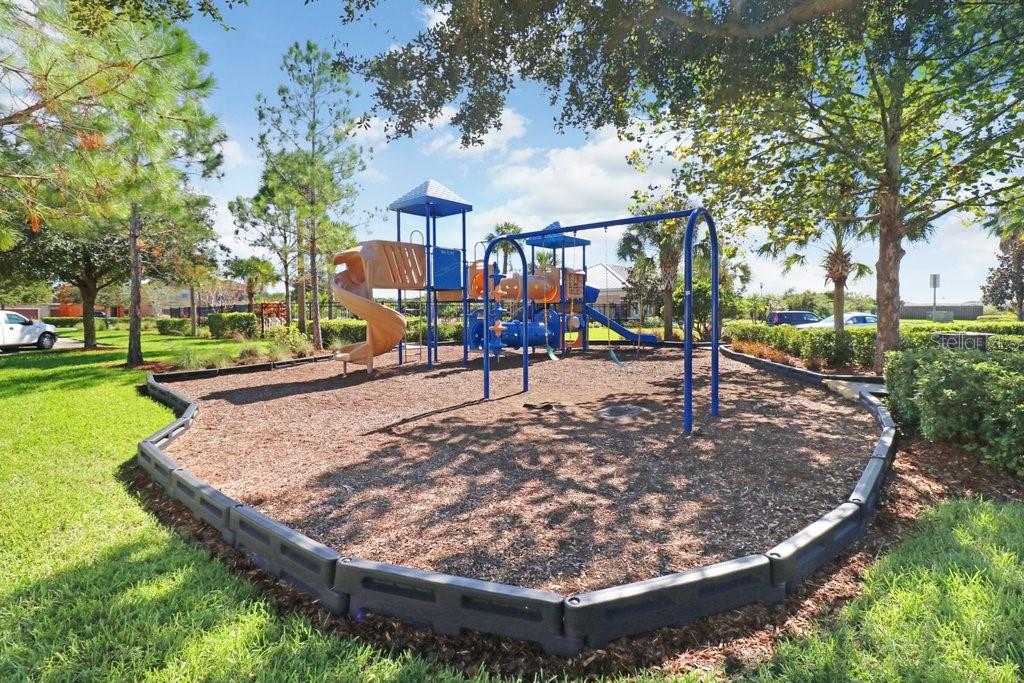 Community Park