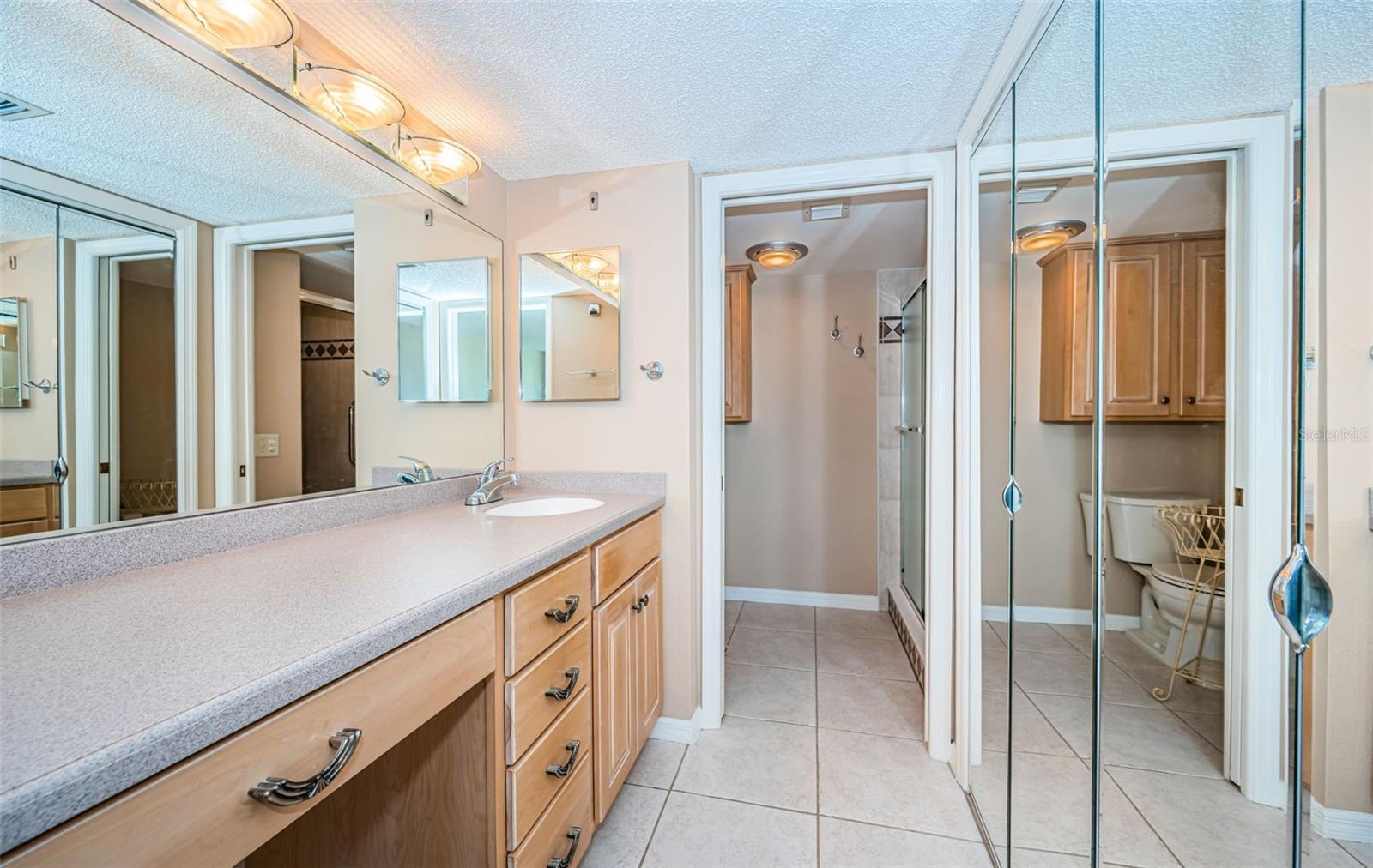 Master Suite Bath & Dress Area