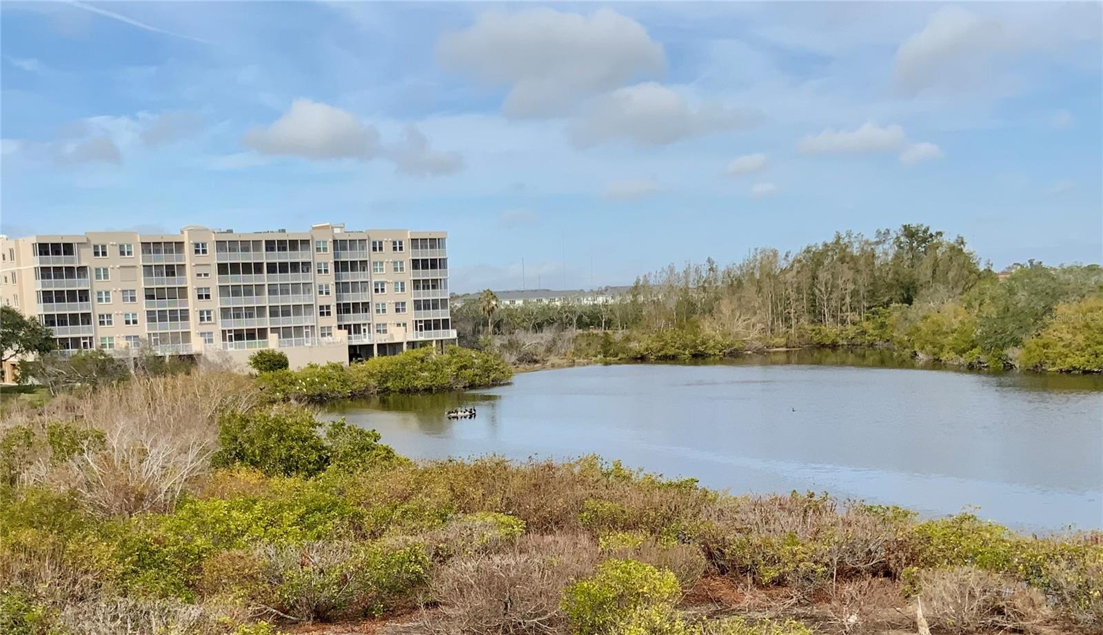 View from the Lanai
