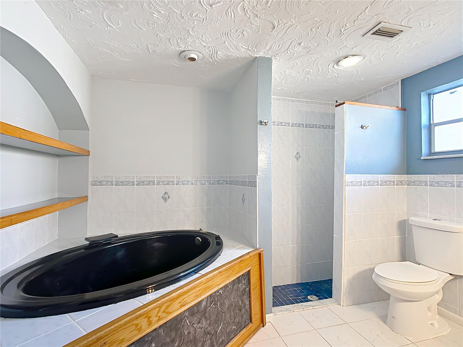 primary bathroom with separate walk in shower and soaking tub