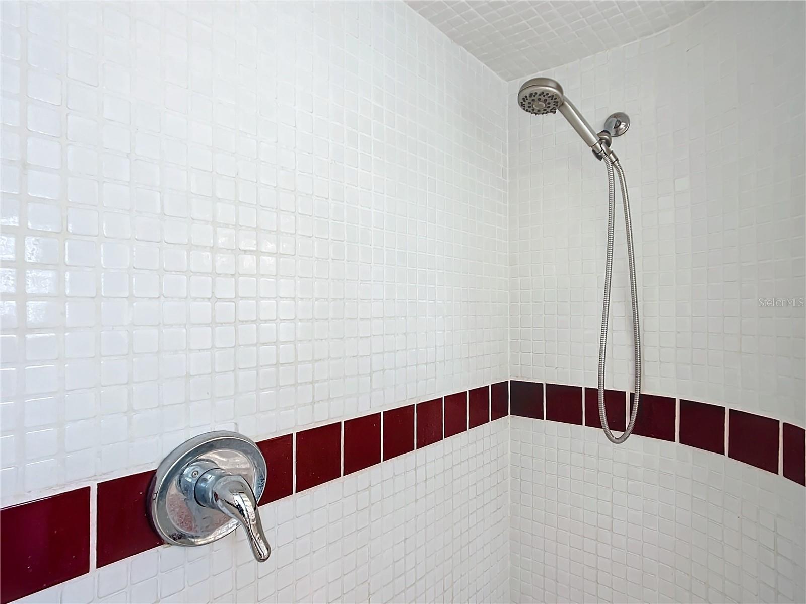 hall bathroom walk in shower