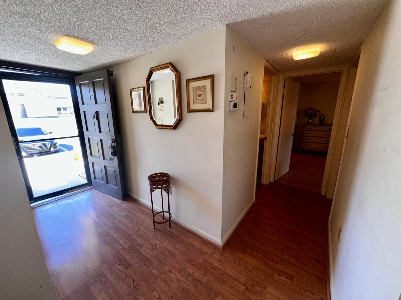 Foyer and Hallway to Bathroom on left and master straight ahead and second bedroom across from the main bathroom