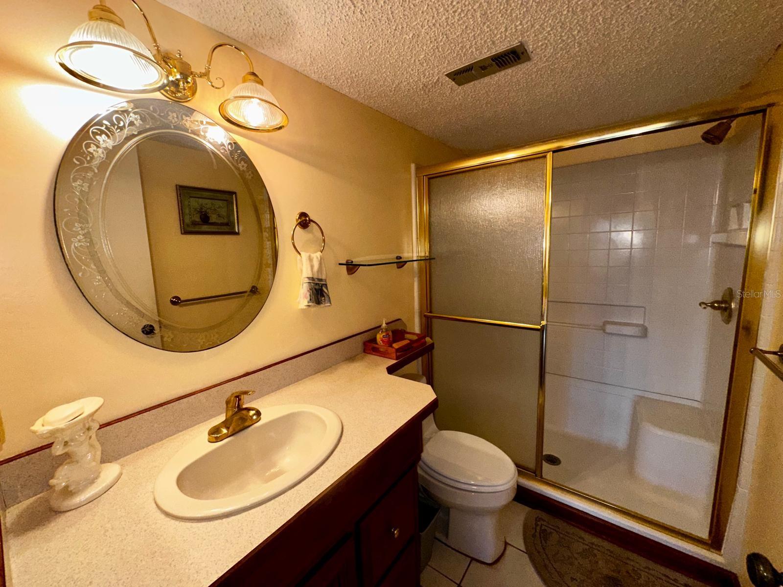 Master Bathroom and Step-in Shower