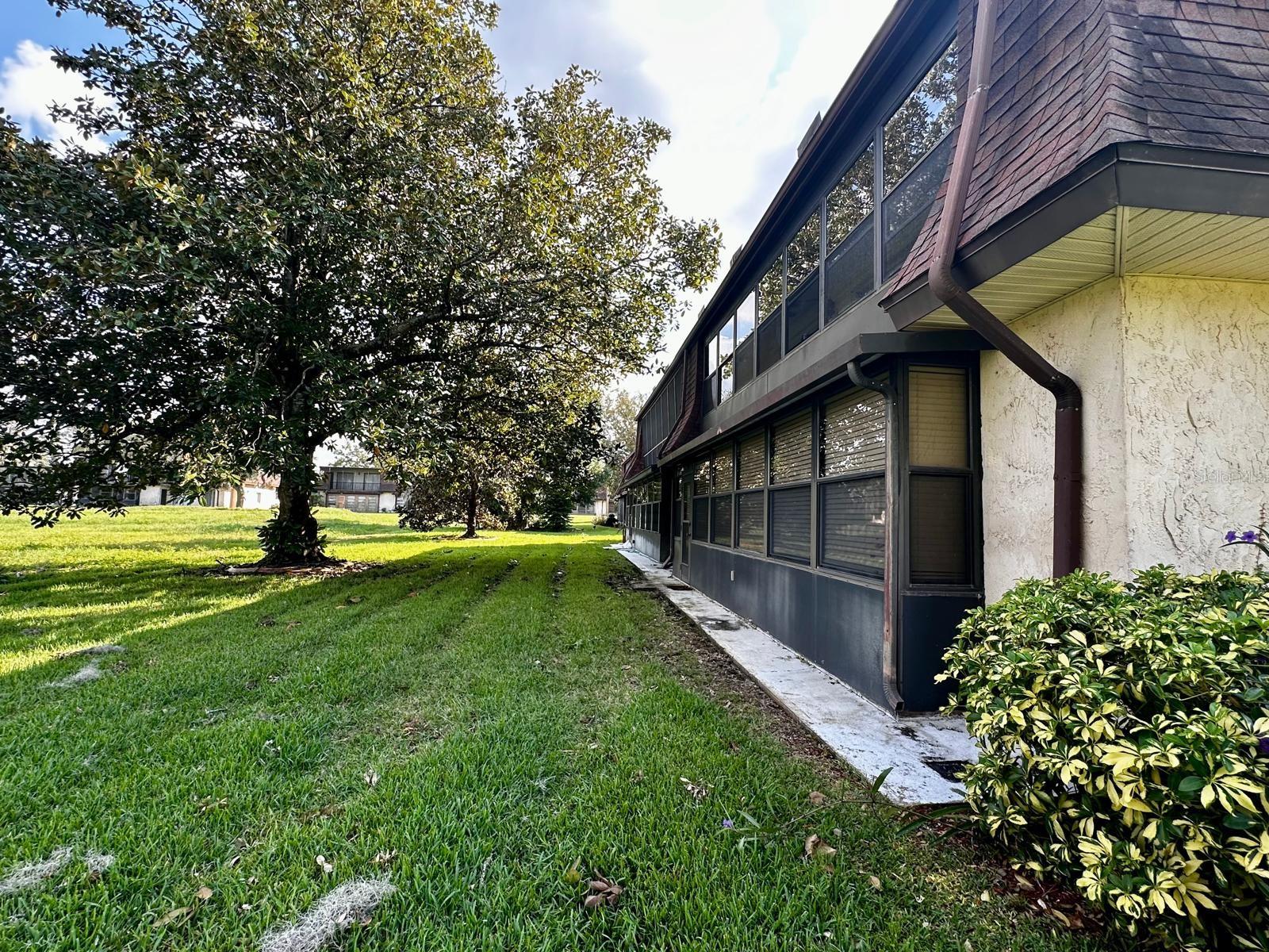 Backyard of Condominium
