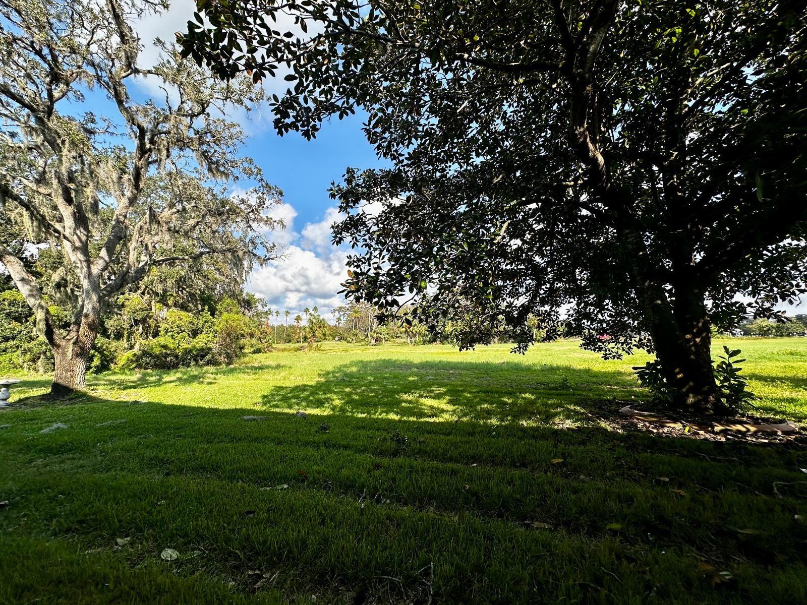 Easterly View of Nature Park Views - Many wildlife and birds frequent daily visits here! Get your bioculars and you will enjoy a daily feast of bird watching!