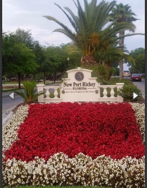 Downtown New Port Richey
