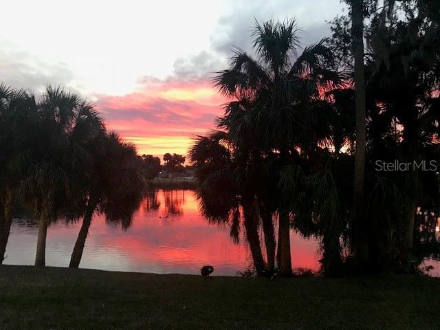 Cotee River Sunset Views