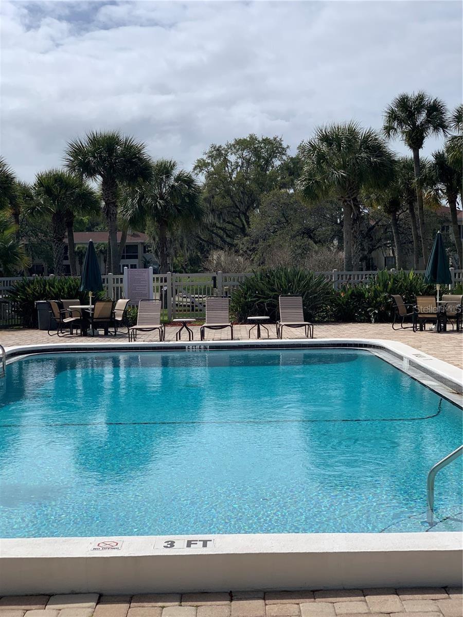 Main Pool