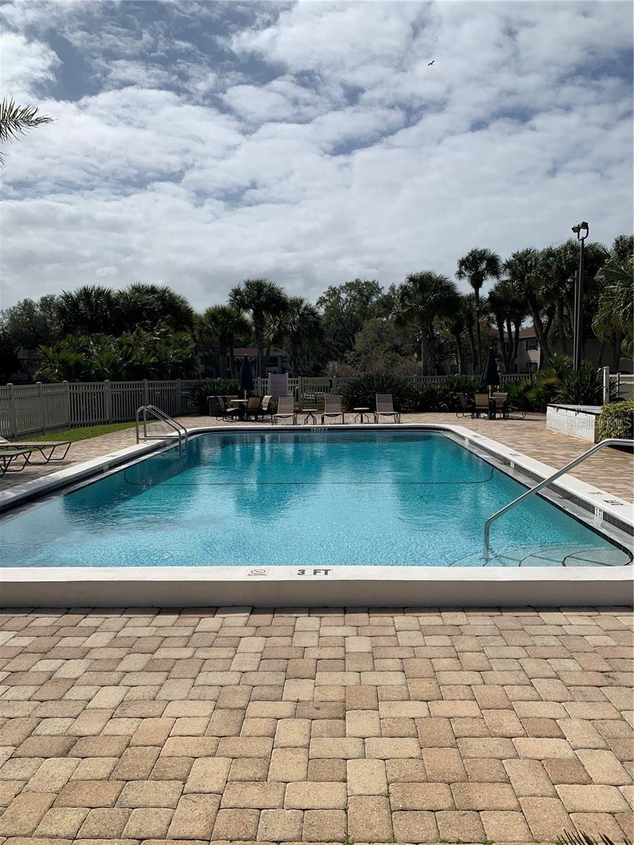 Main Pool