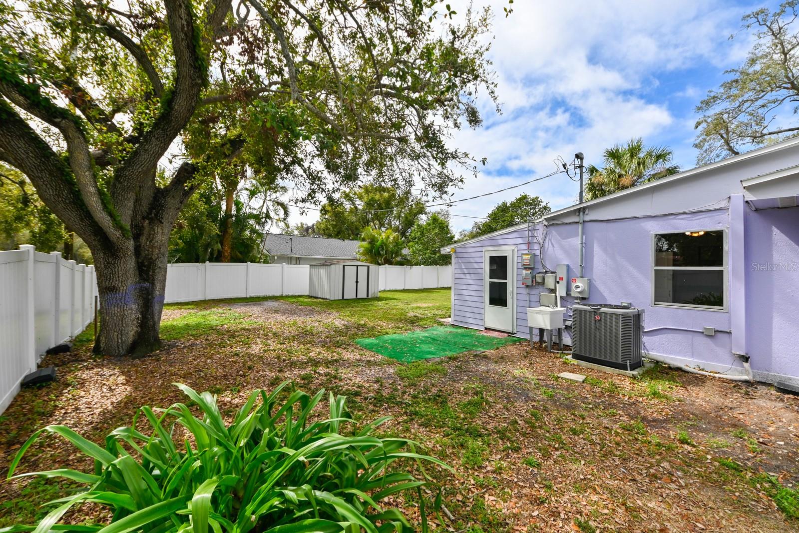 Backyard