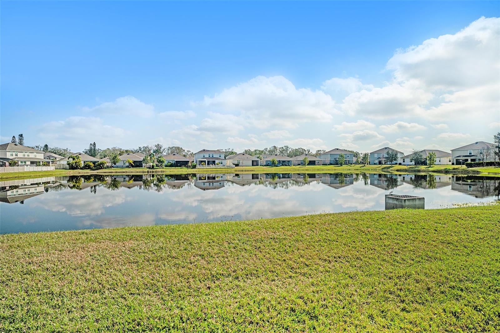 Back Yard Pond View