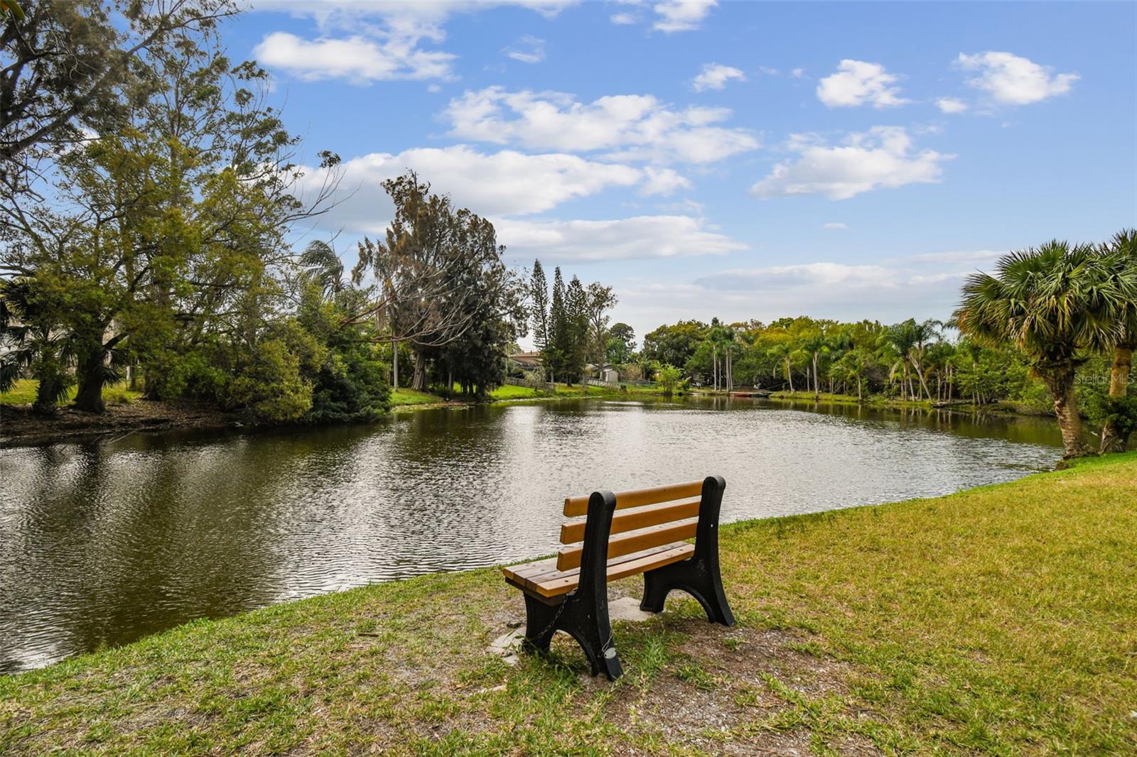 Peaceful Pond