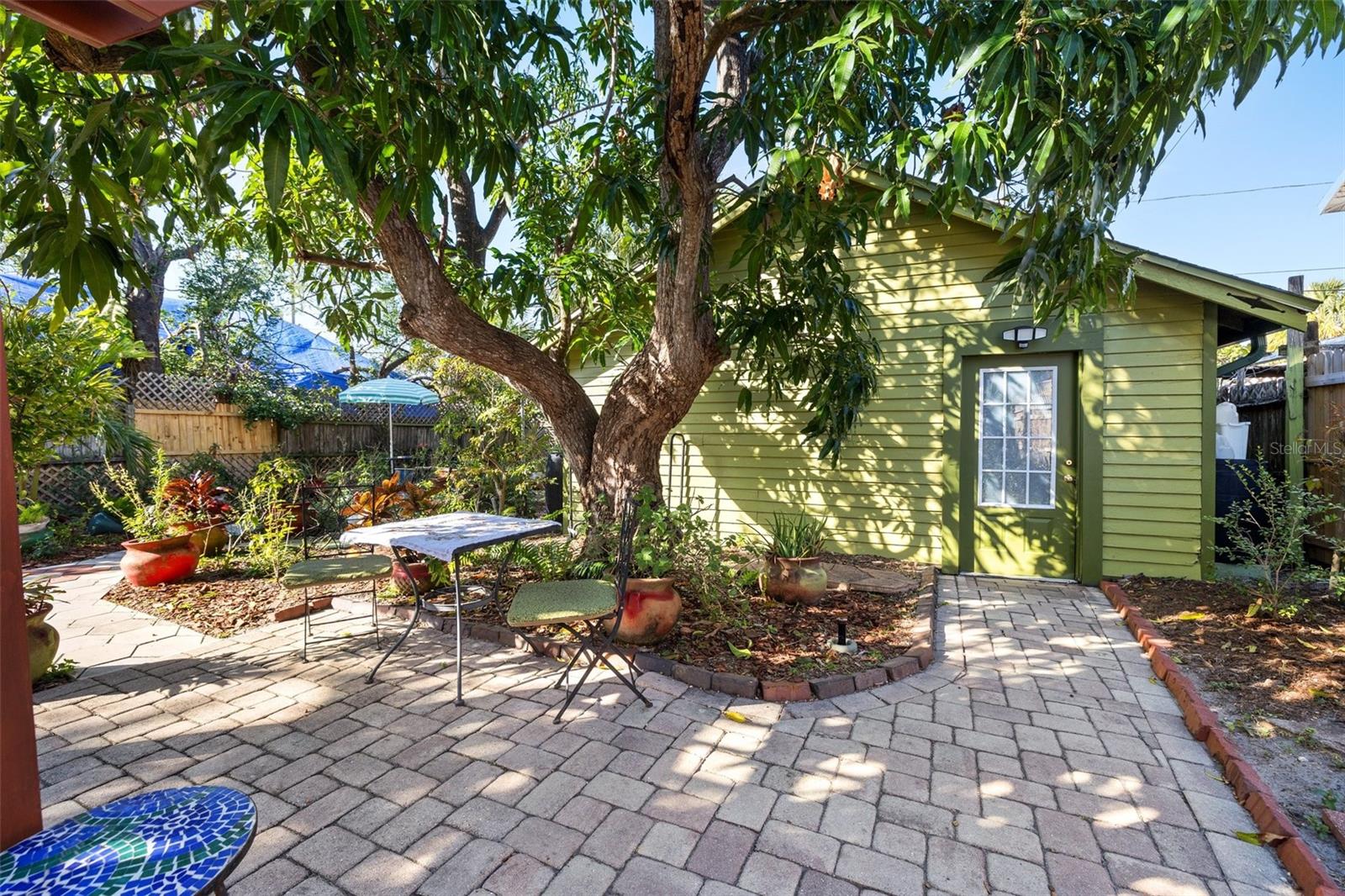 mango tree and garage entrance from garden