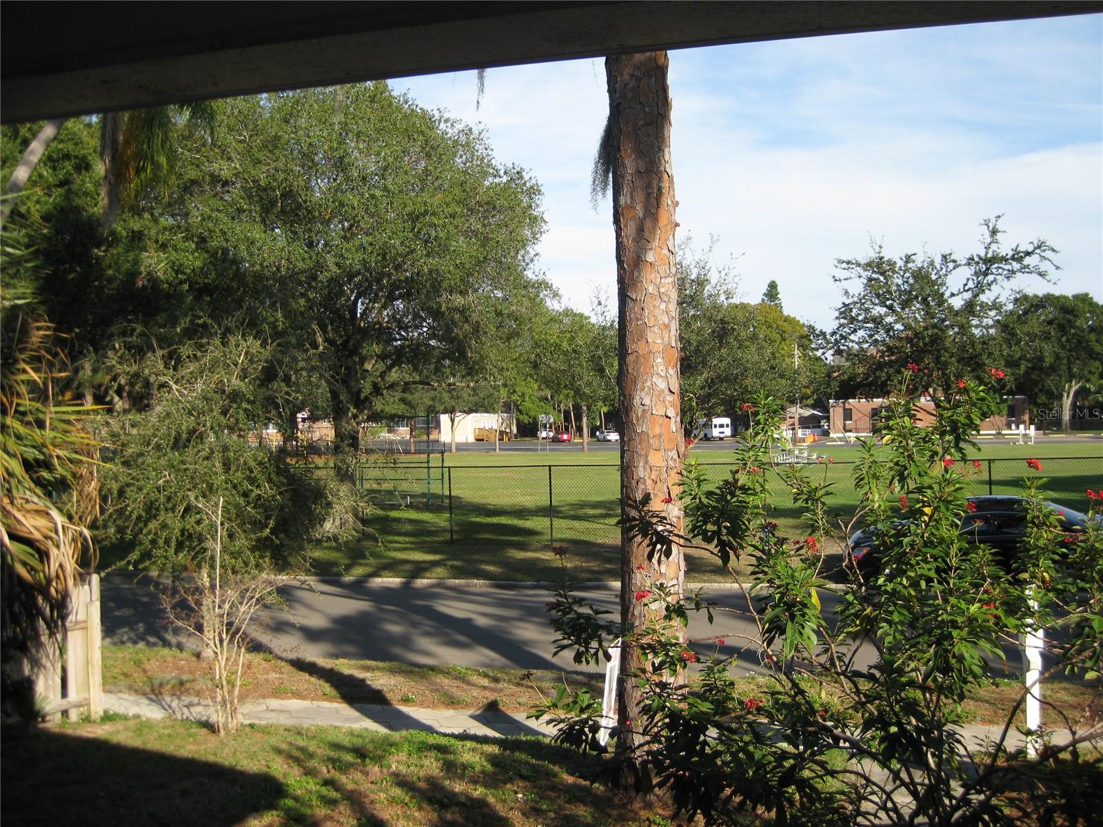 View from front porch