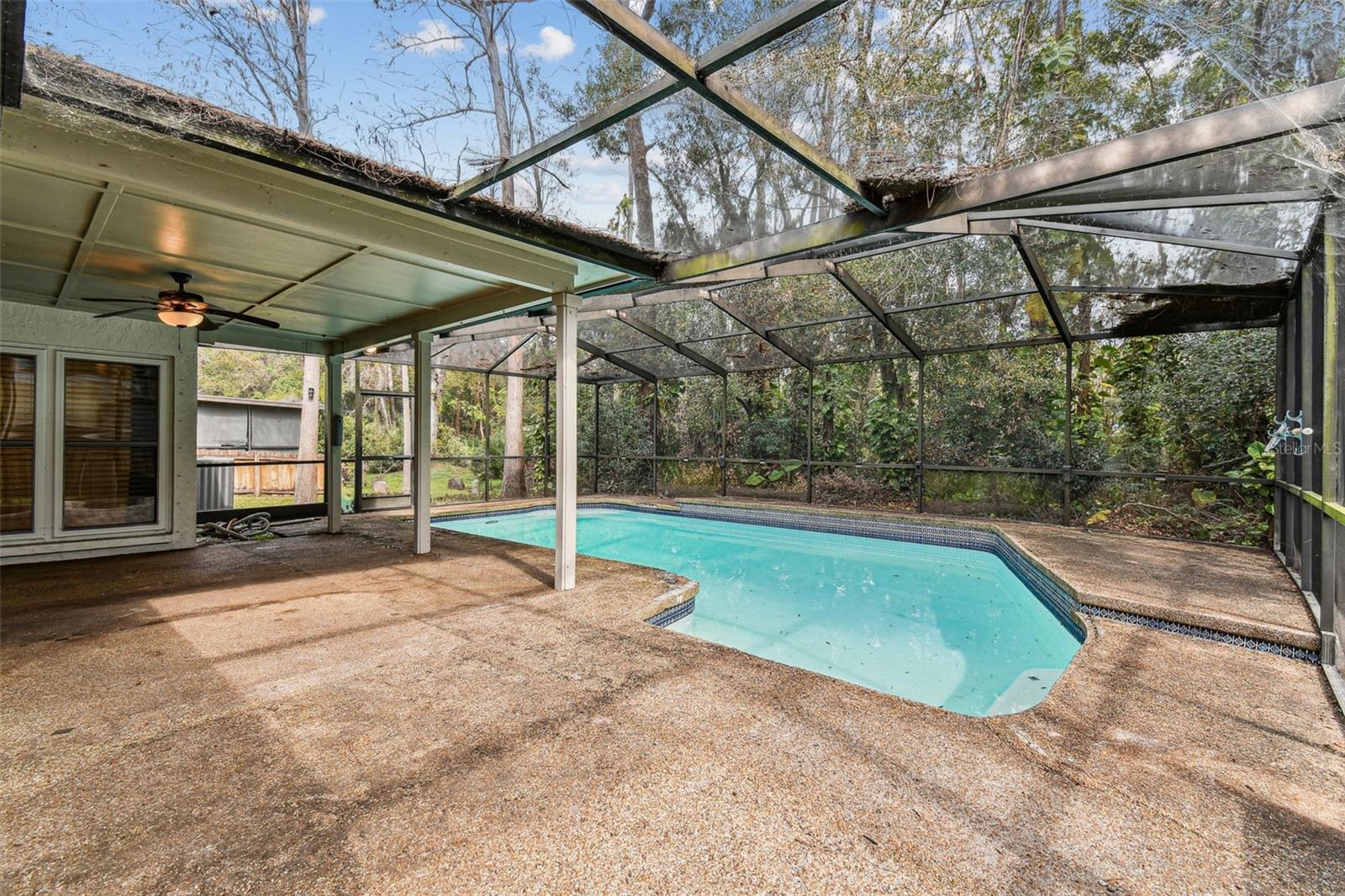 Backyard pool area