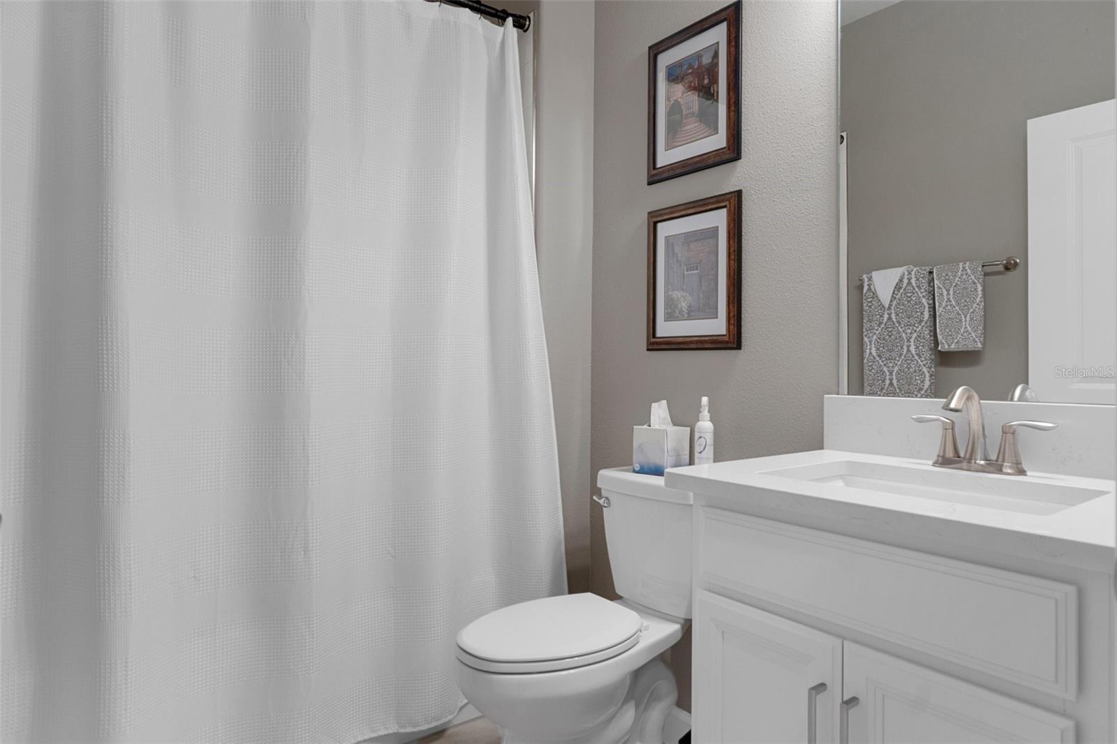 Downstairs Guest bathroom