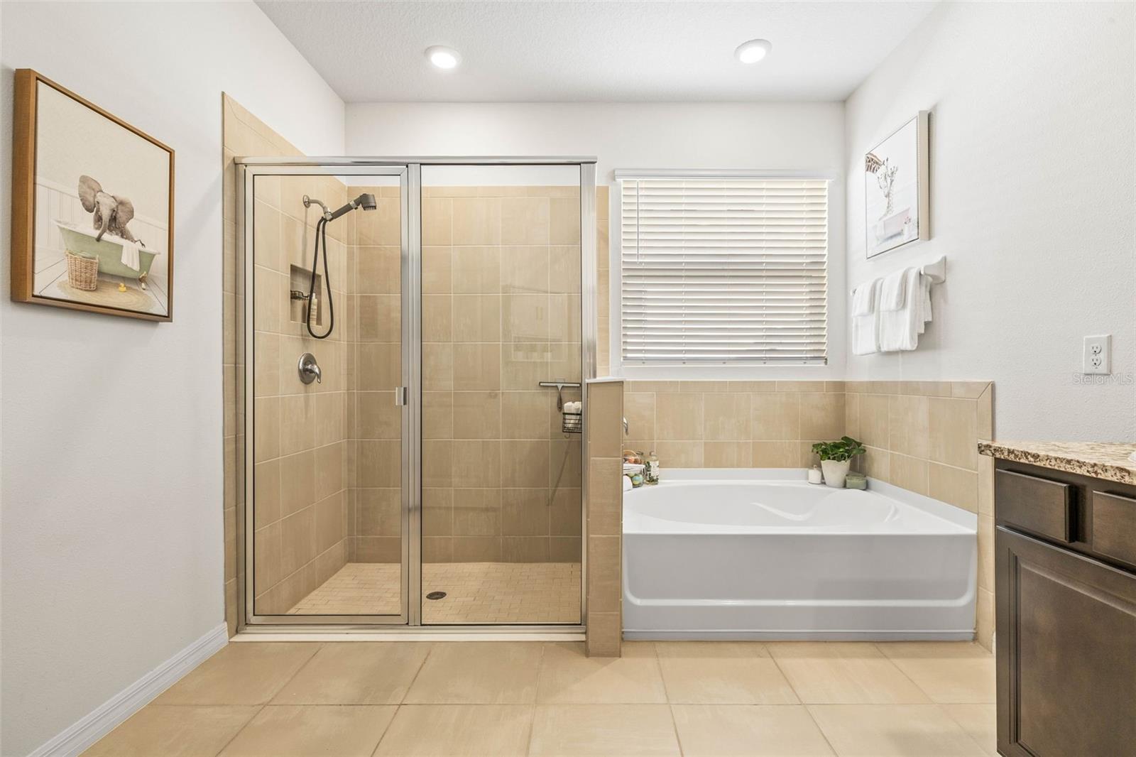 Standing shower and tub