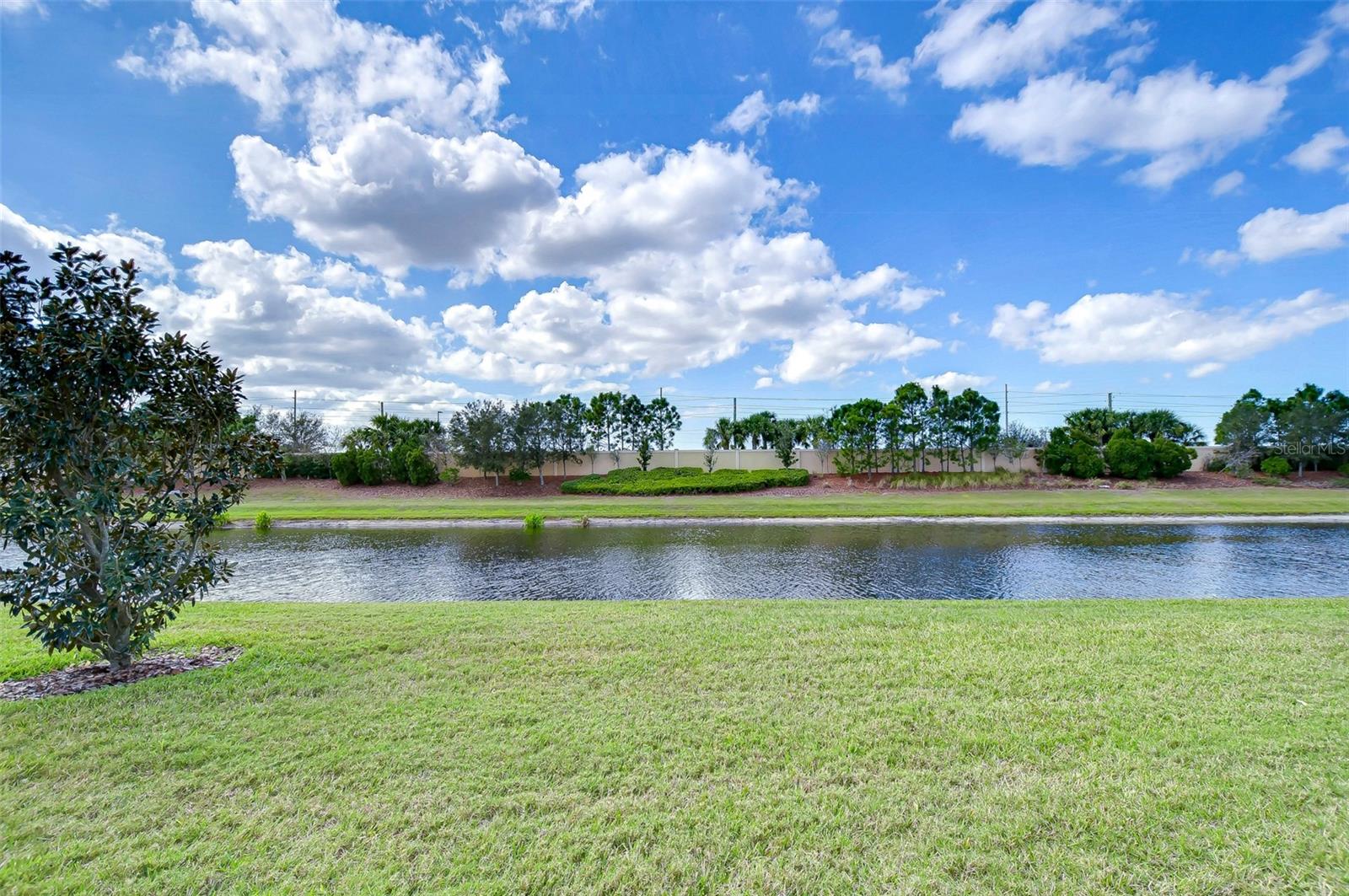 Yard & Water View