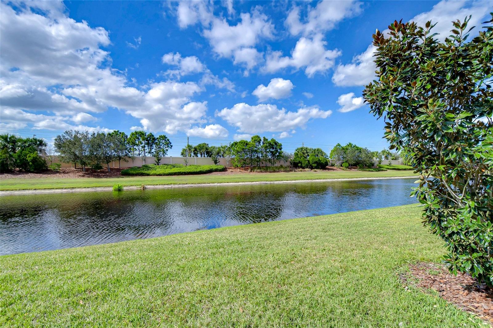 Yard & Water View