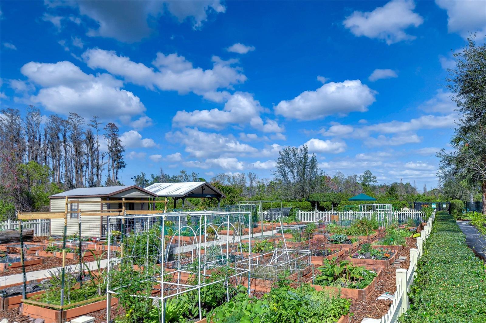 Valencia Lakes Garden