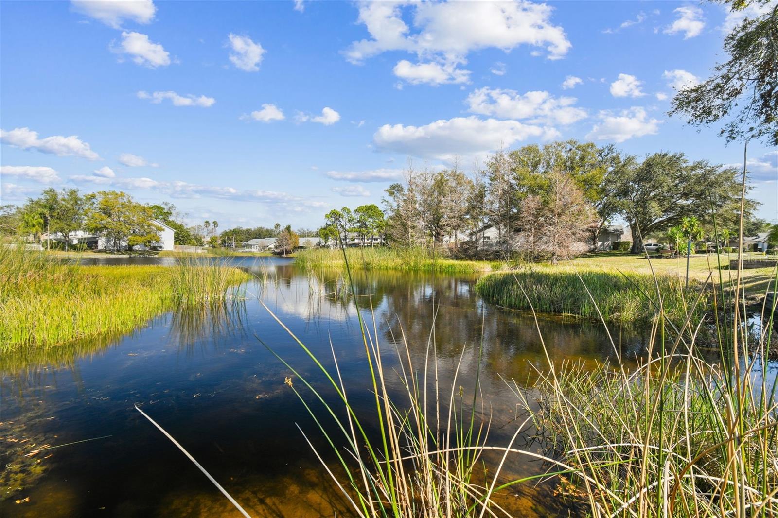 Gorgeous Lake View from the front of the home