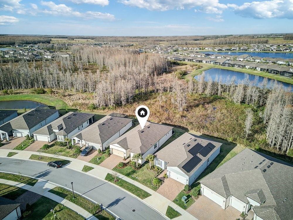18629 Coastal Shore Terrace Land O Lakes FL 34638