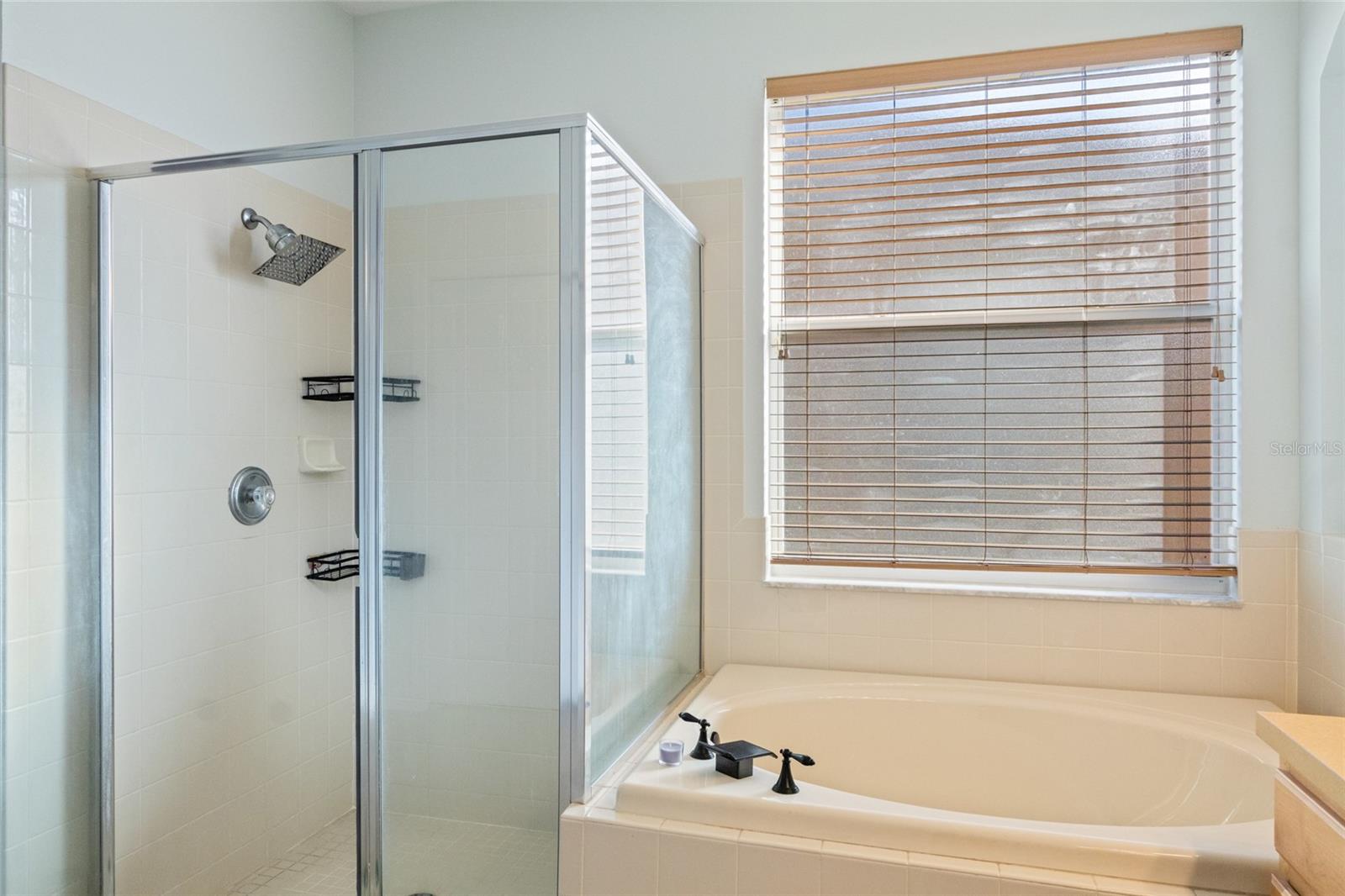 Shower & Tub in Primary Bath