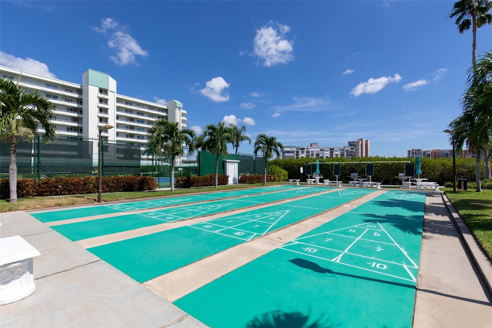 Shuffleboard