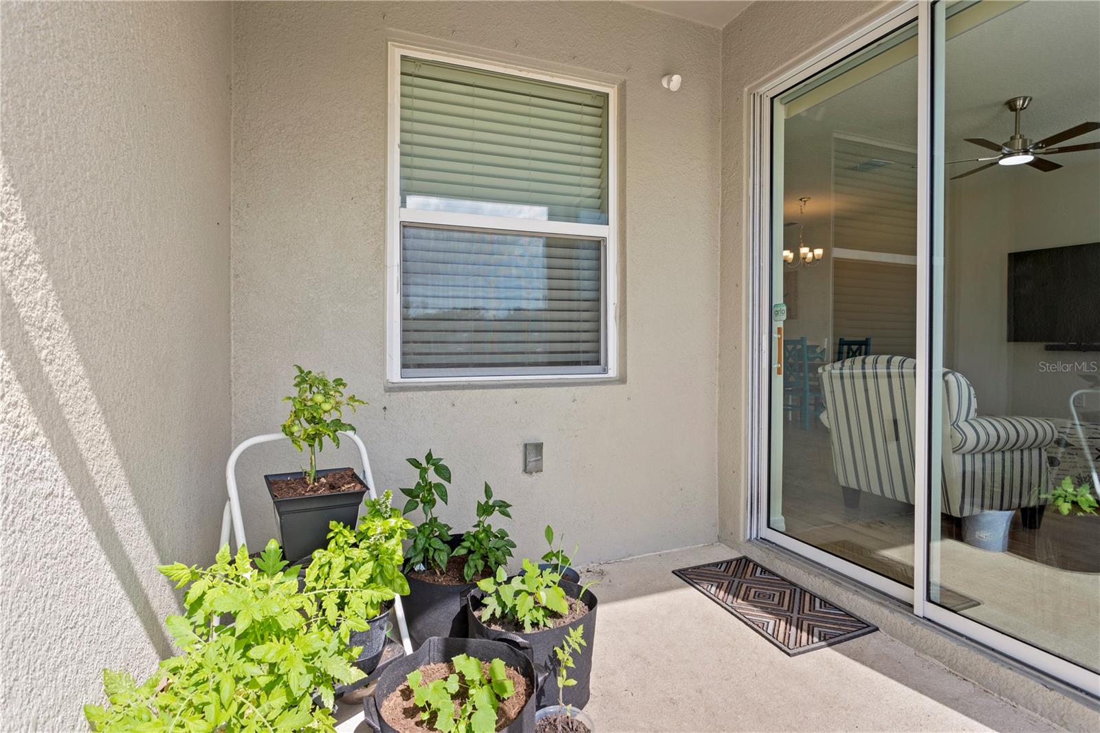 Screened, Covered Patio