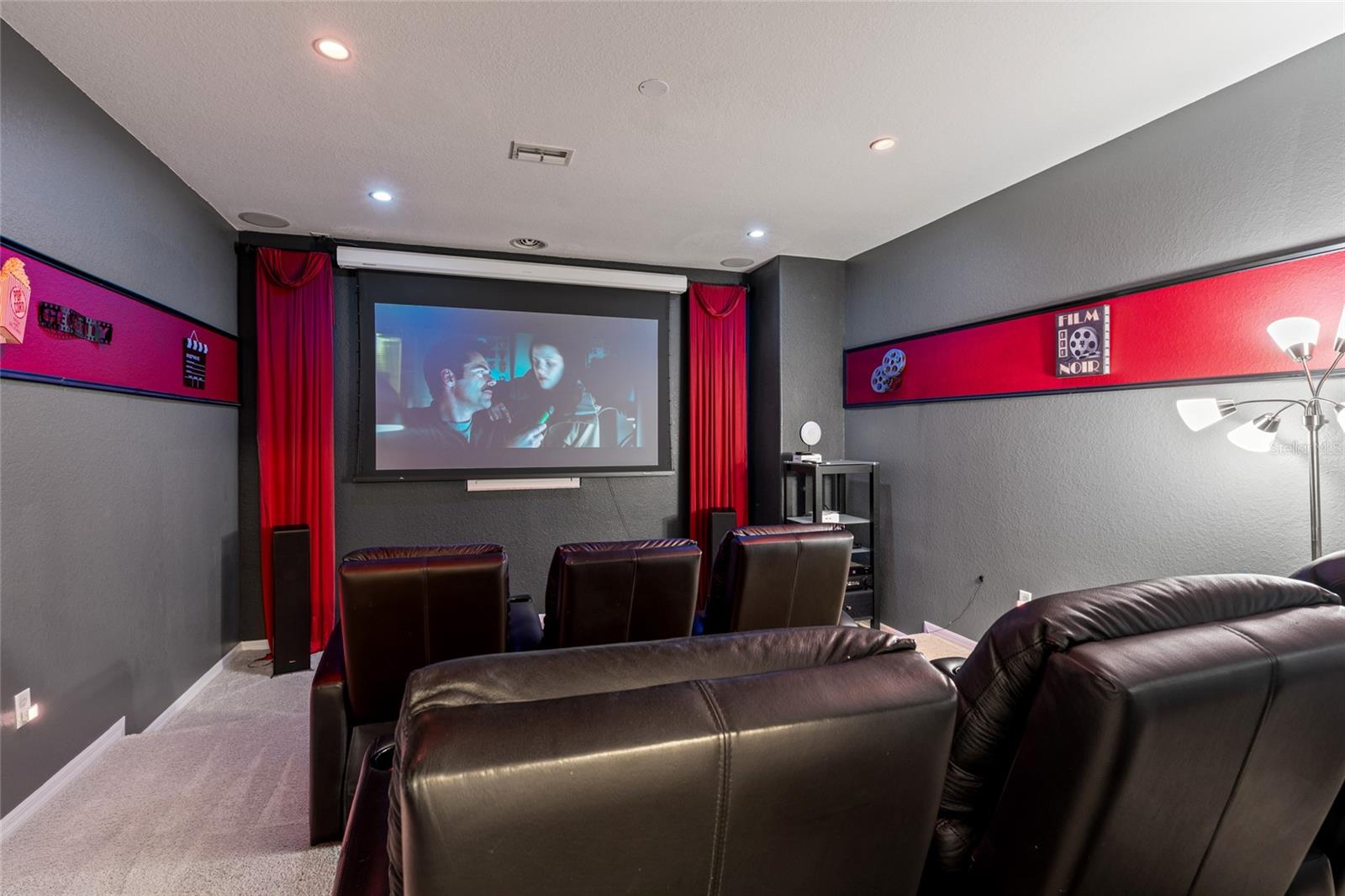 Theater/Media Room