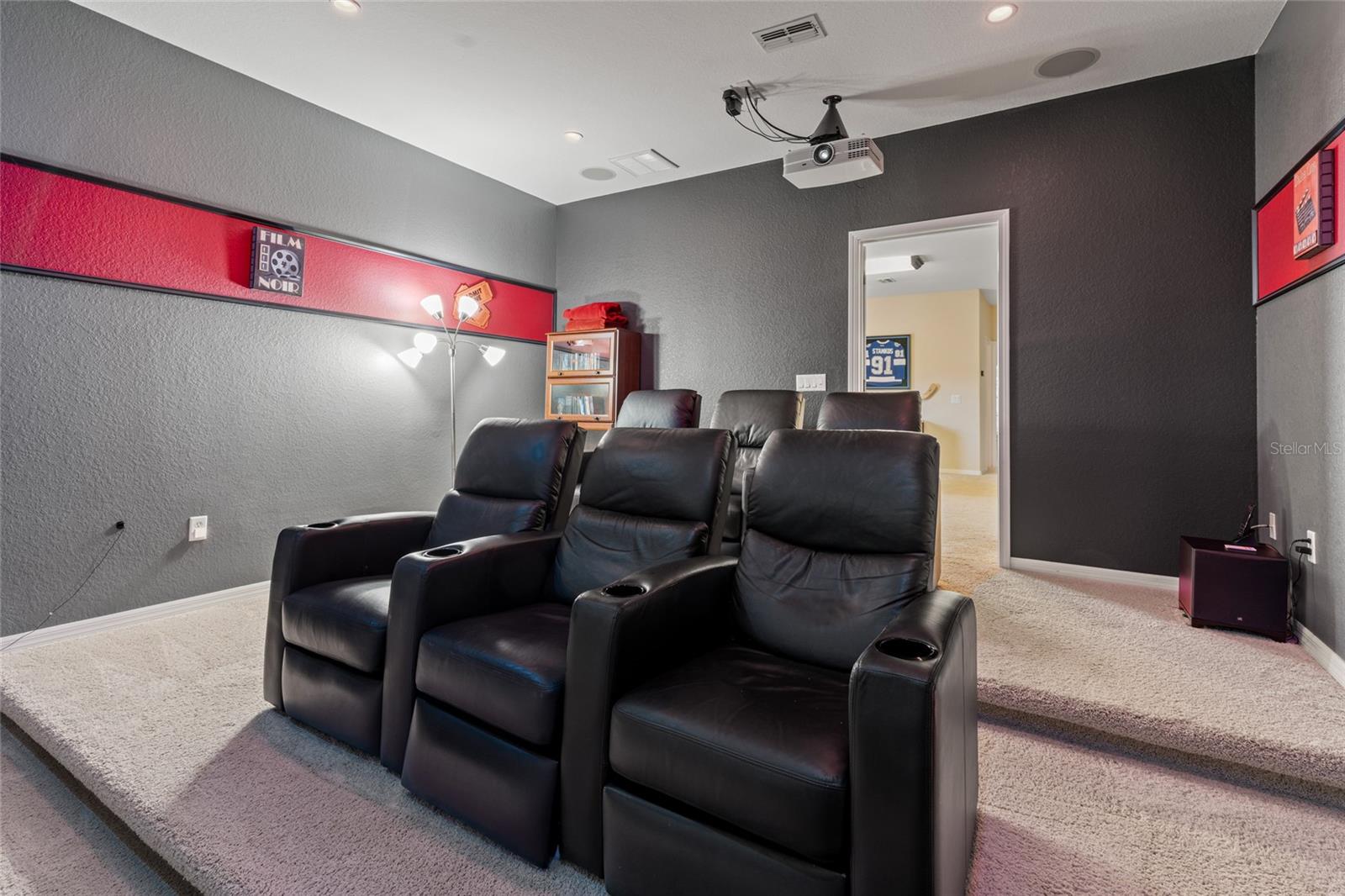 Theater/Media Room