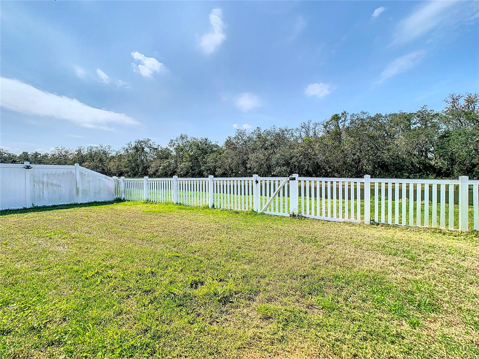 Rear yard with 50 feet water frontage