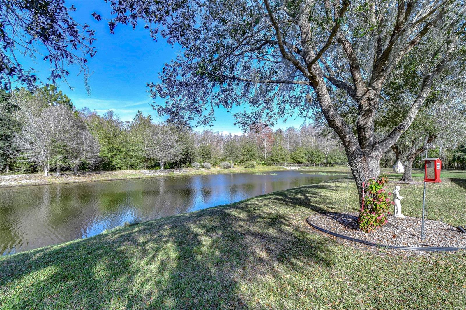 Yard & Water View